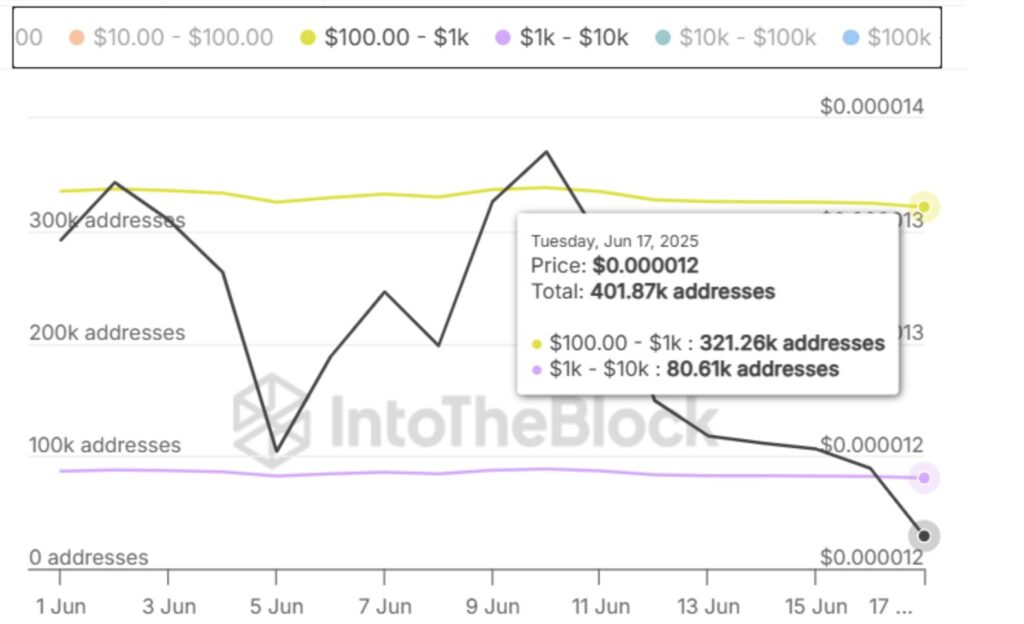 Diagramm der SHIB-Halter zwischen 100 und 1000 Dollar