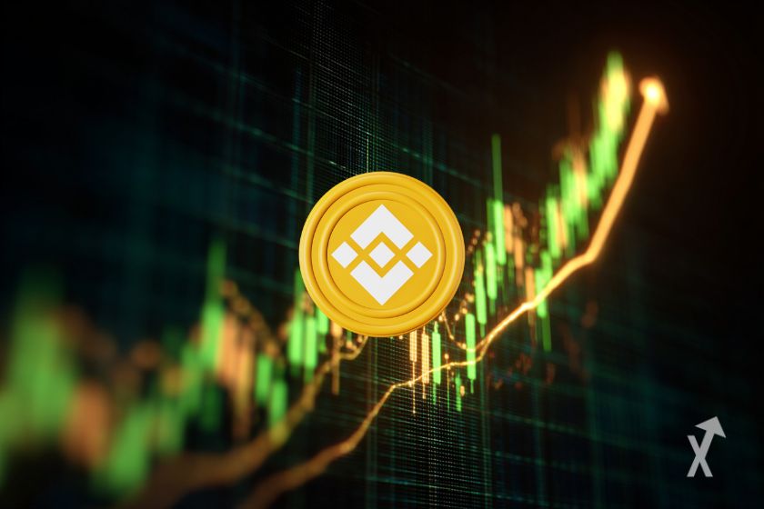 Der BNB-Token: Kryptowährung von Binance.