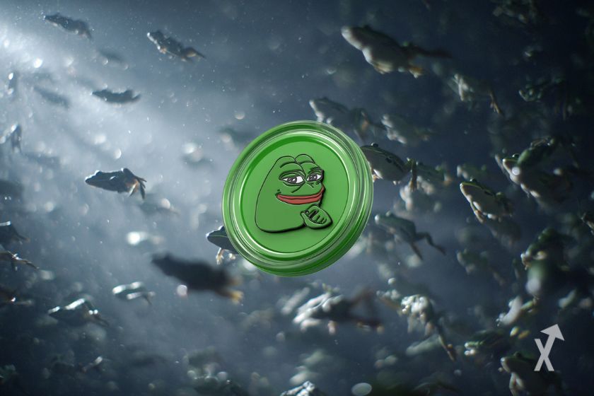 Der PEPE Token in Deutschland.
