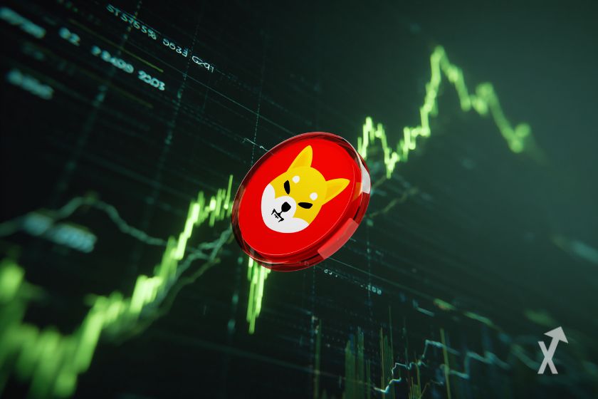 Die SHIB-Kryptowährung, ein Trendsetter.