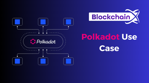 Polkadot utilité 