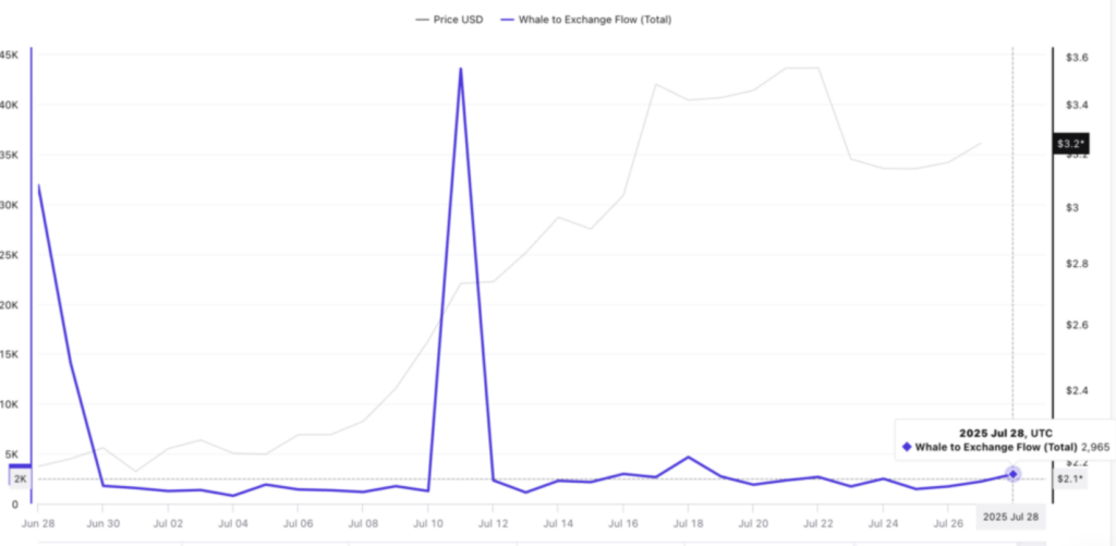 whales to exchange flow von XRP