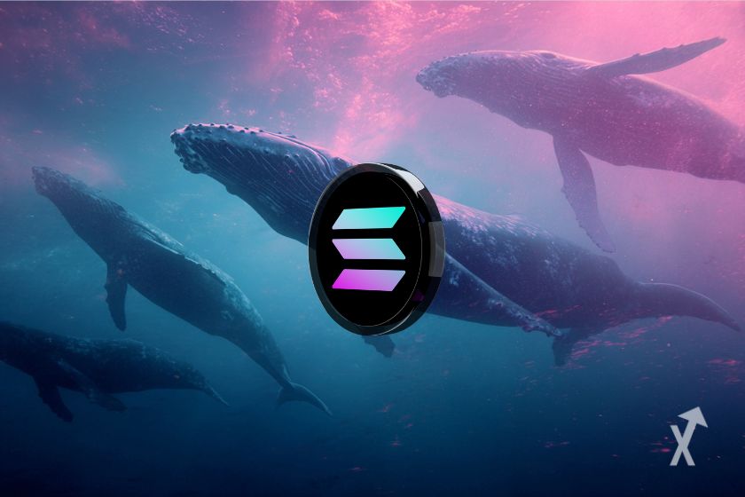 Walwale und Solana Token