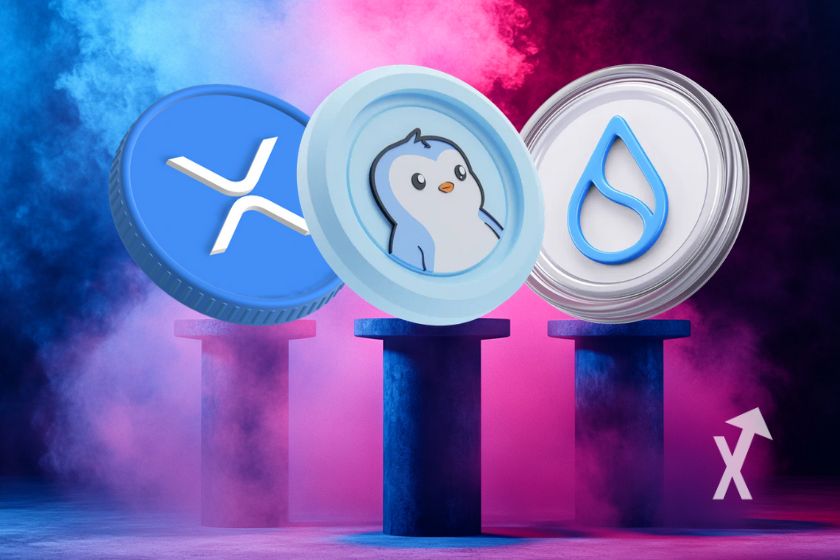 Cover: Sui Pengu XRP-Kryptoillustration in 6 Worten.