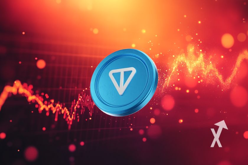 Ton Toncoin- Website-Abbildung mit Logo