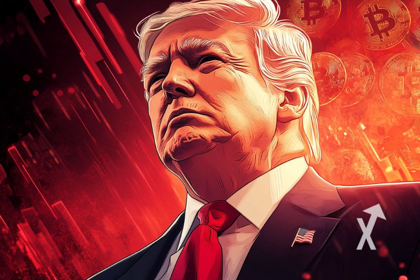 Buchumschlag Trump in Nigeria Volume