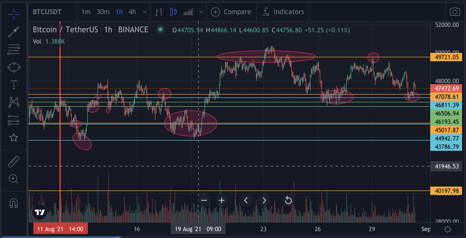 Gamma- und Vanna-Analyse