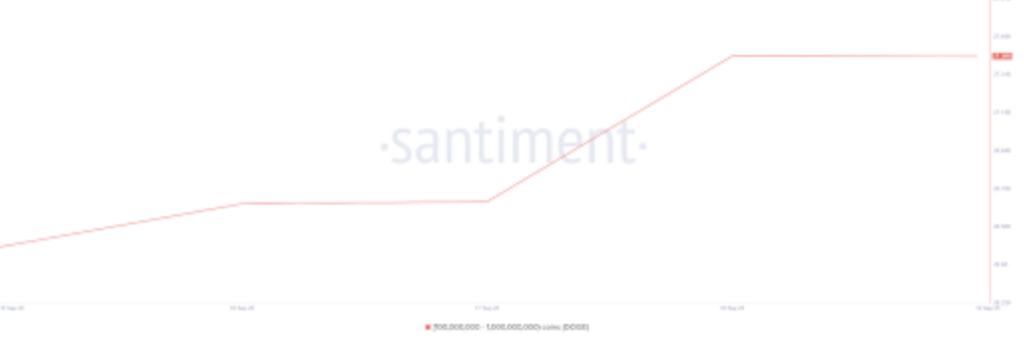 grafik holdings whale dogecoin