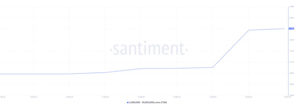 Diagramm der TON Wal-Holdings