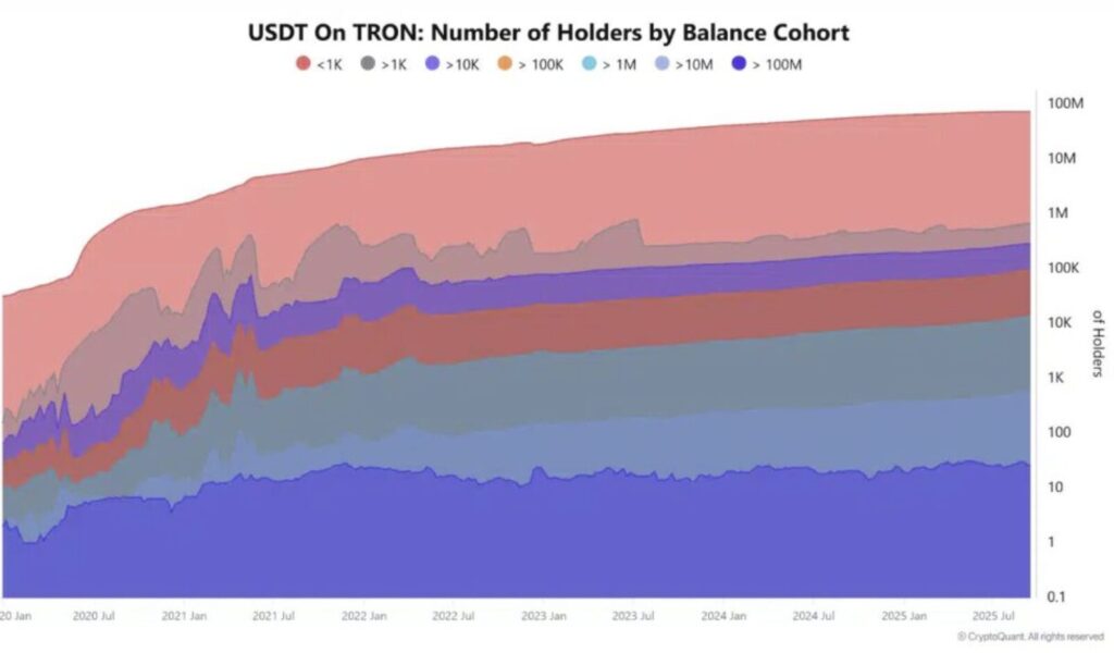 USDT-Bestände auf Tron Diagramm