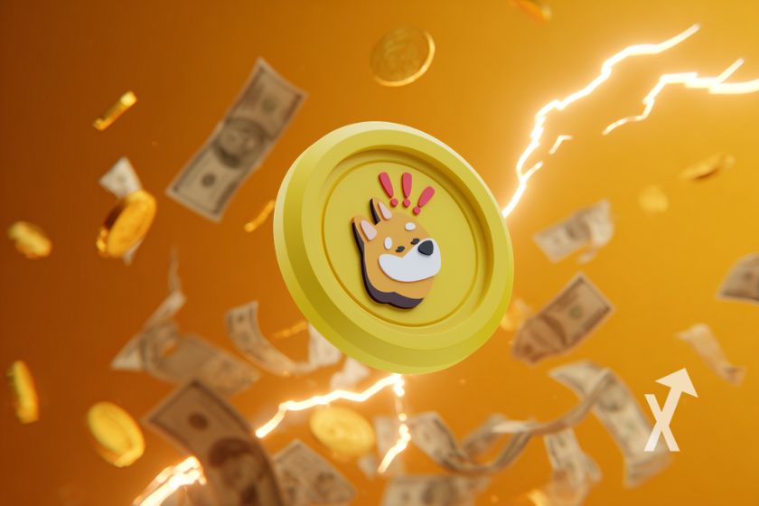 "deckung bonk memecoin" - Alt text in German