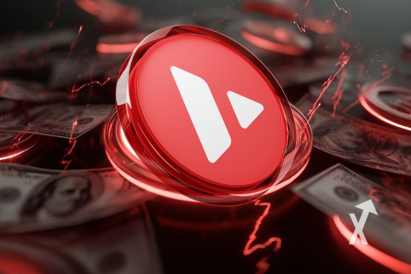 "Hülle Tron" - Schutz für Elektronikgeräte.