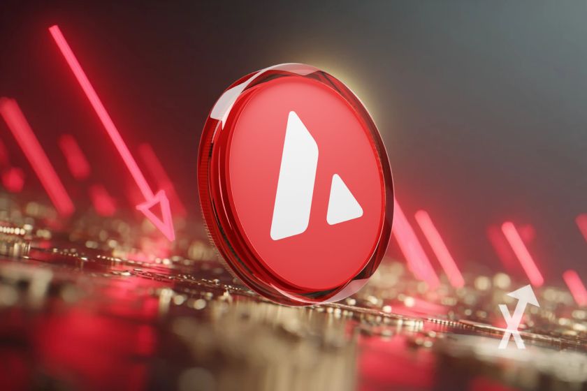 "Abdeckung für Avax" - Schutz für Avax Cover.