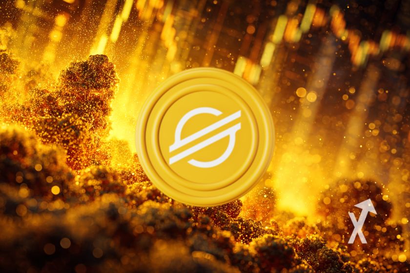 "Hülle für XLM Stellar"