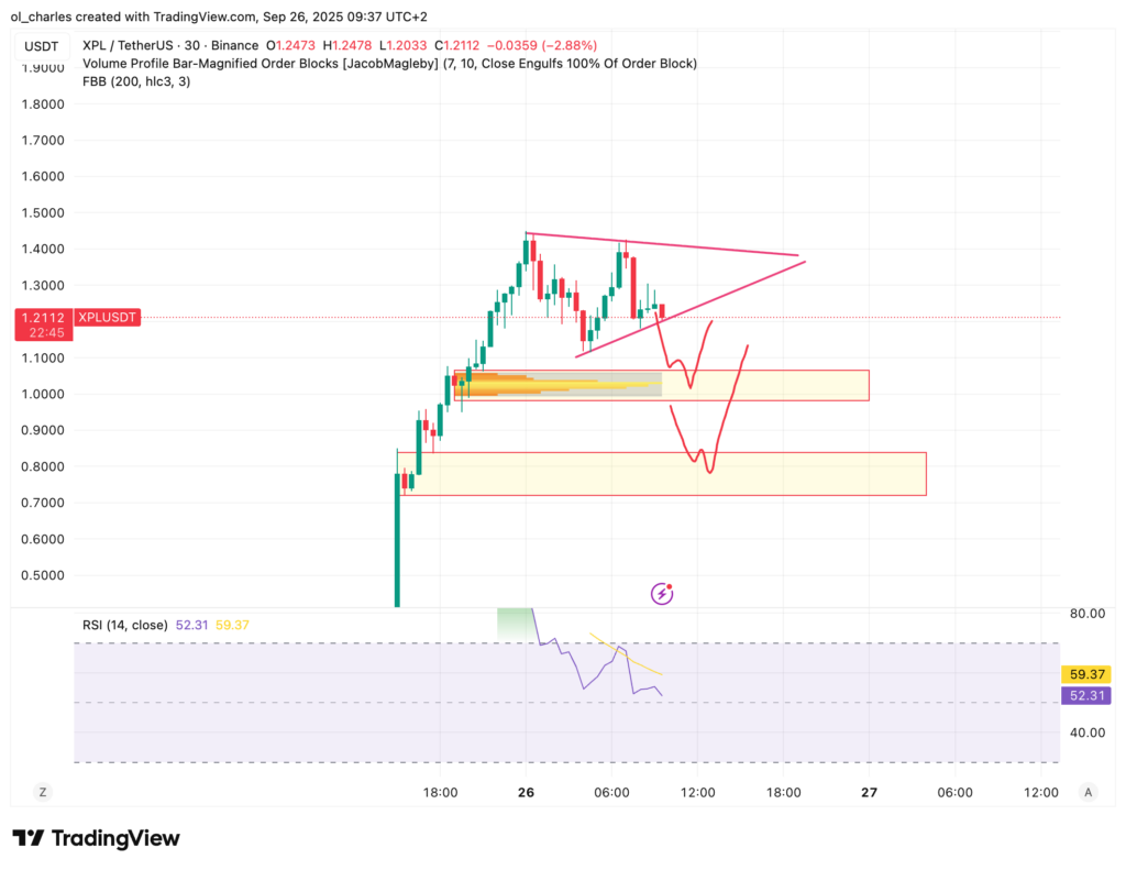 XPL-Kurs in 30 Minuten