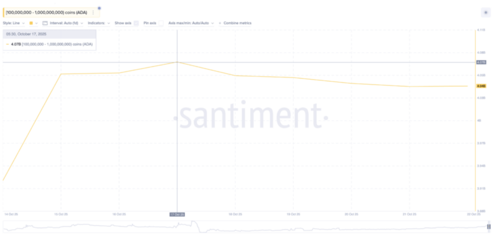 Diagramm der Altcoin-Wal-Holdings in ADA