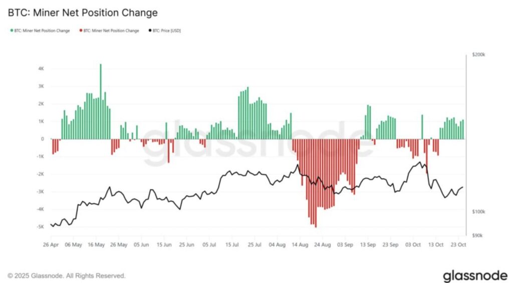 Grafik der Net Position Change der Bitcoin-Miner