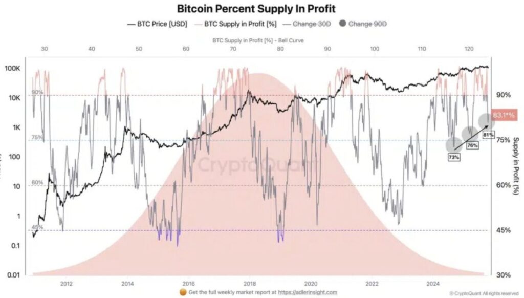 Grafik des Prozentsatzes der Bitcoin-Halter im Gewinn