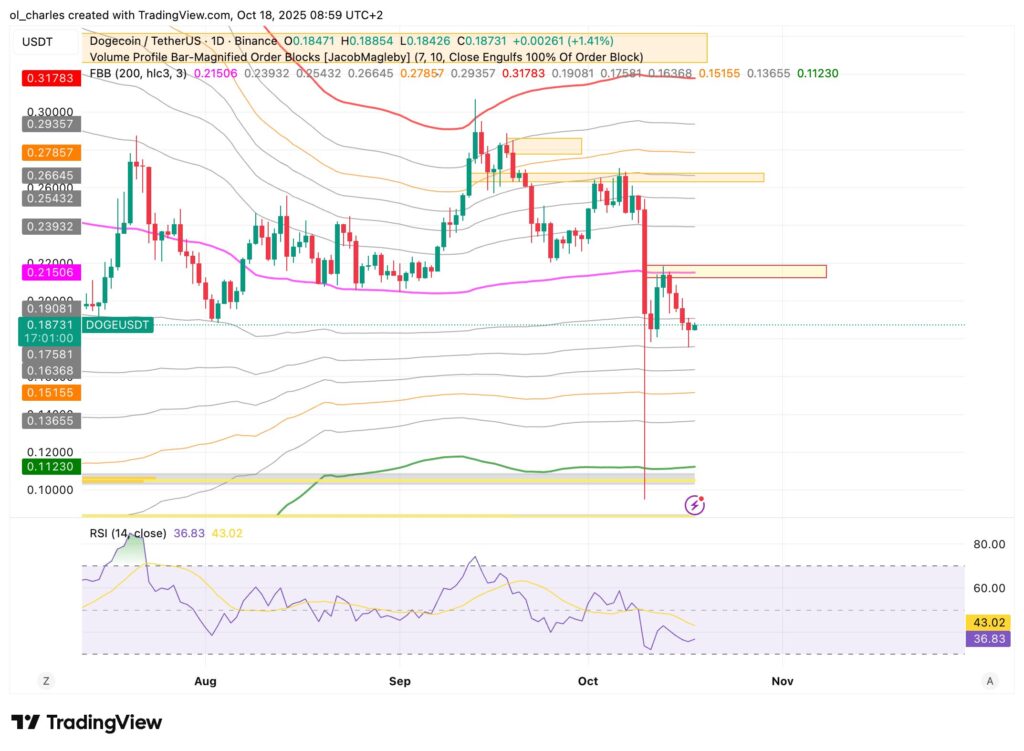 Chart des DOGE-Kurses im 1-Tages-Zeitraum mit FBB