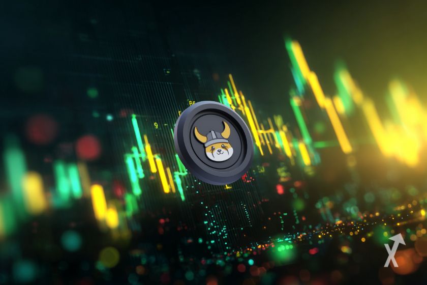 "Der FLOKI-Token - Krypto-Investmentmöglichkeit"