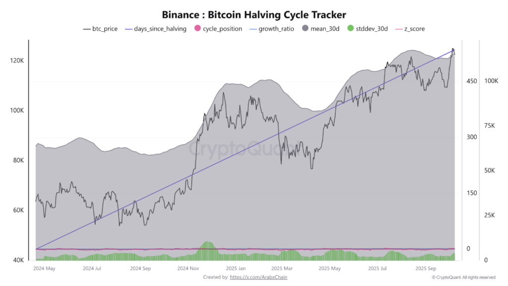 bitcoin halving cycle tracker