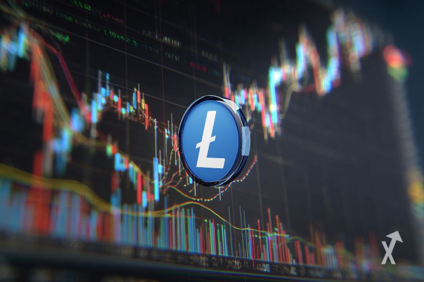 "Der LTC-Token: Kryptowährung auf Plattform."