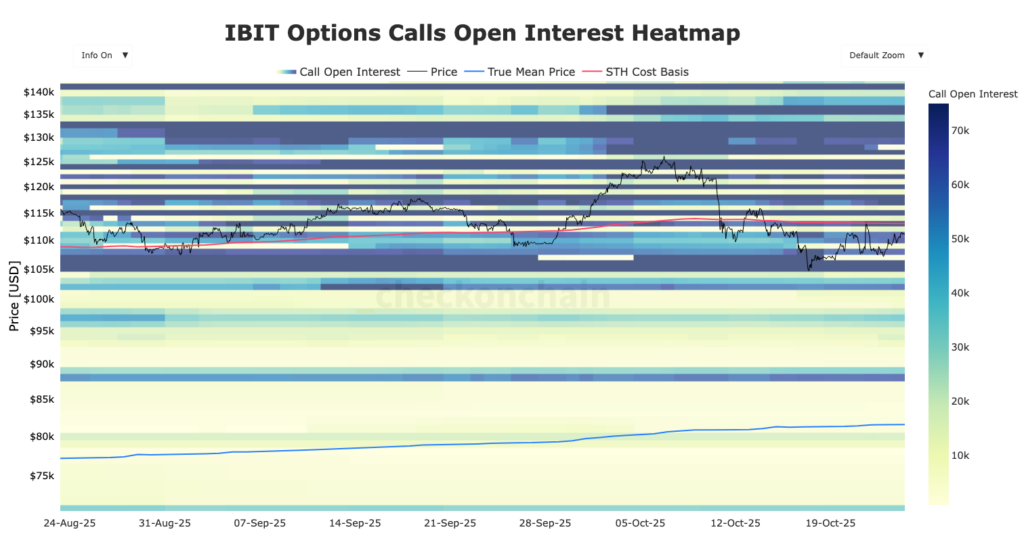 Heatmap-Grafik der Put-Calls für Bitcoin-ETF IBIT