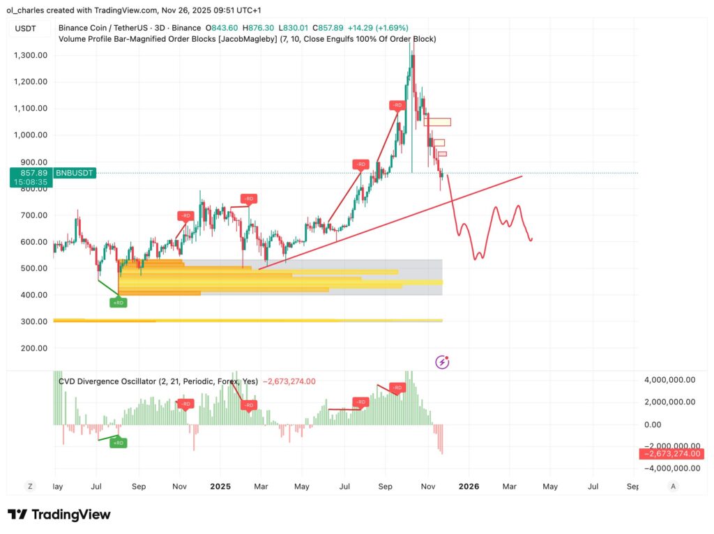 Diagramm des BNB Kurses auf 3-Tages-Basis mit Order Blocks und CVD Delta-Volumen