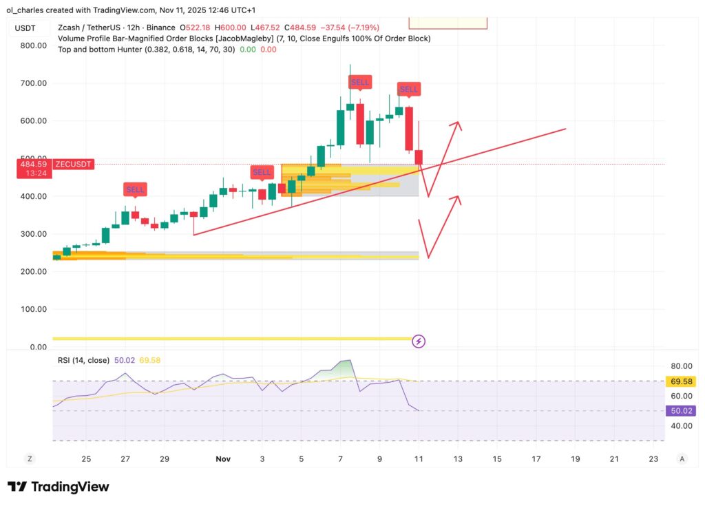 ZEC Zcash Kurs in 16 Stunden mit Order Blocks, Trendlinie und Verkaufssignal