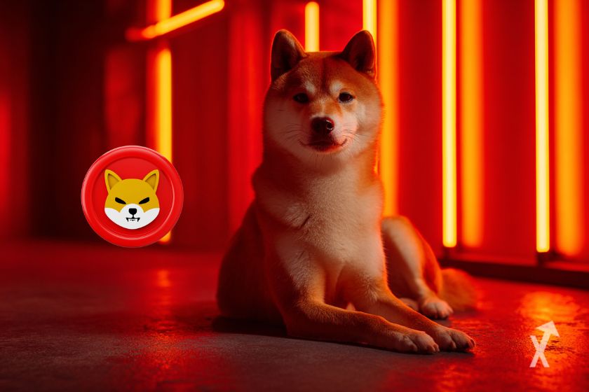 Rote SHIB-Token neben echtem Shiba-Inu.