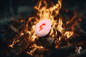 Fogo-Token vor Holzfeuer in Naturwaldlauf.