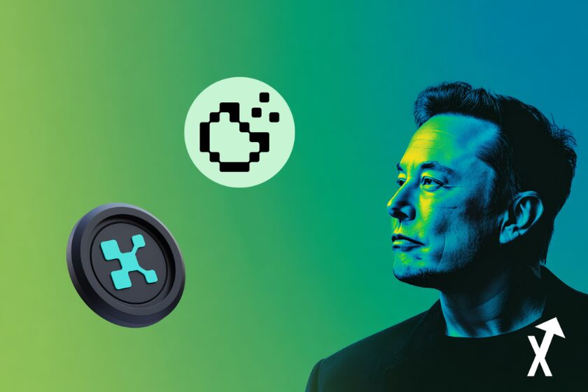 elon musk crypto cookie et kaito sur fond bleu vert
