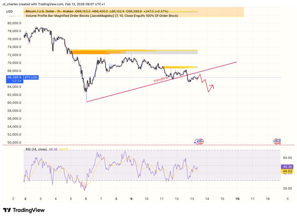 Bitcoin Kurs in 1H mit Orderblock und RSI
