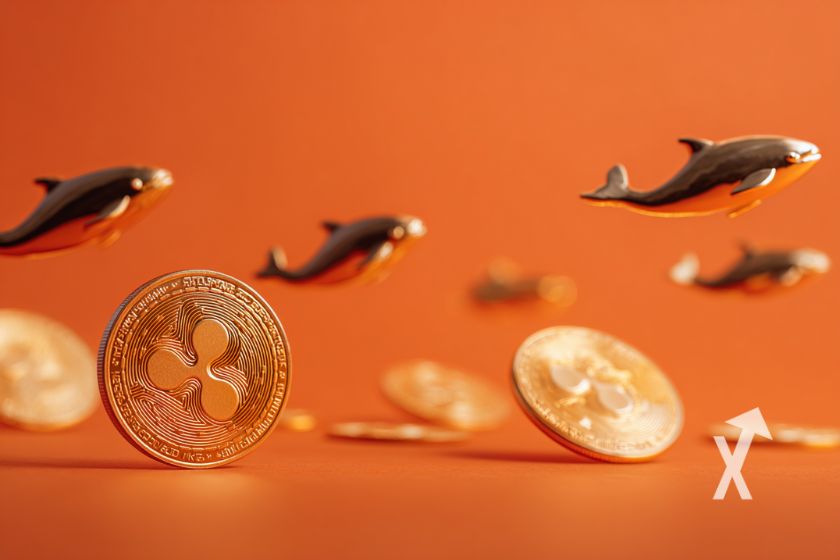 coin XRP sur un fond orange avec des baleines