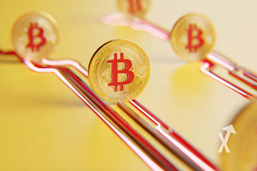 Plusieurs coins Bitcoin en jaune avec lgoo rouge sur un fond jaune avec des lignes rouges