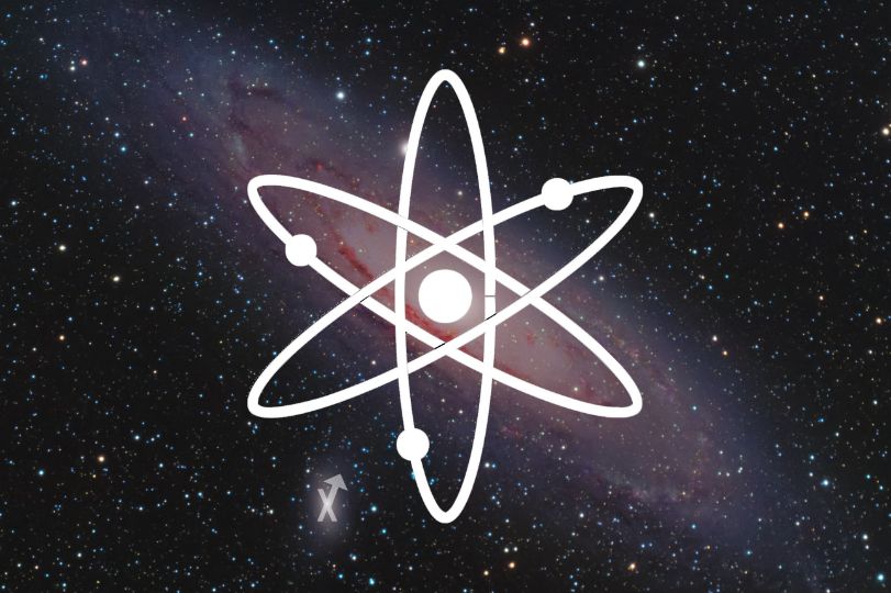 Vibrant flowers under a clear sky.