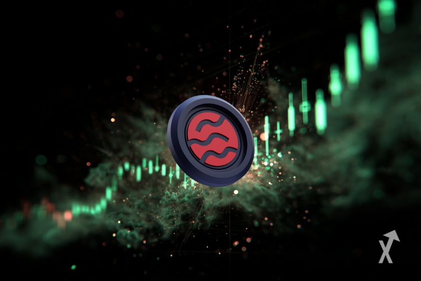 The SEI token: a brief description