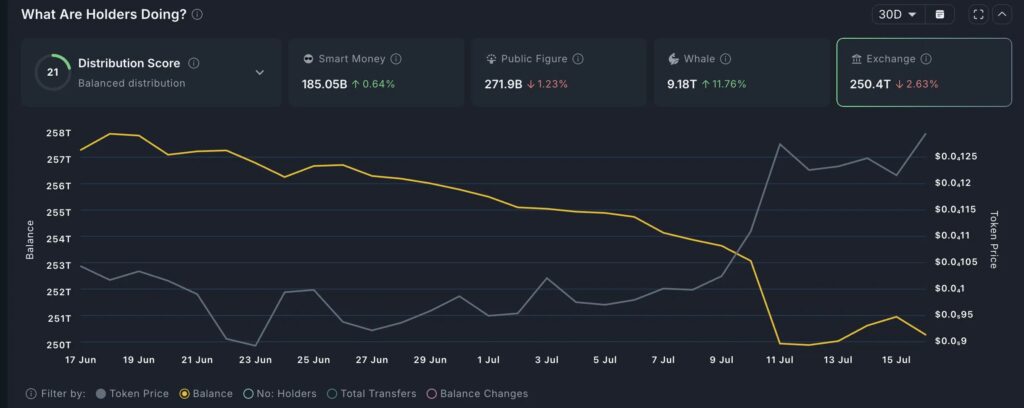 chart showing PEPE holdings of large wallets