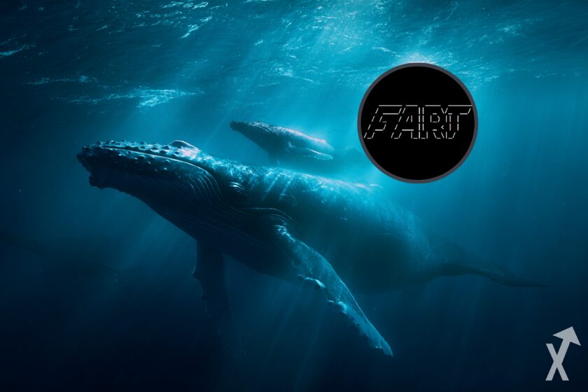 Large investors in fartcoin cryptocurrency.