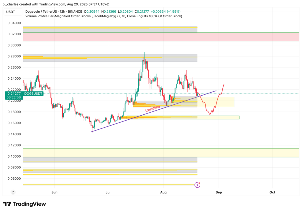 DOGE price chart in 12H