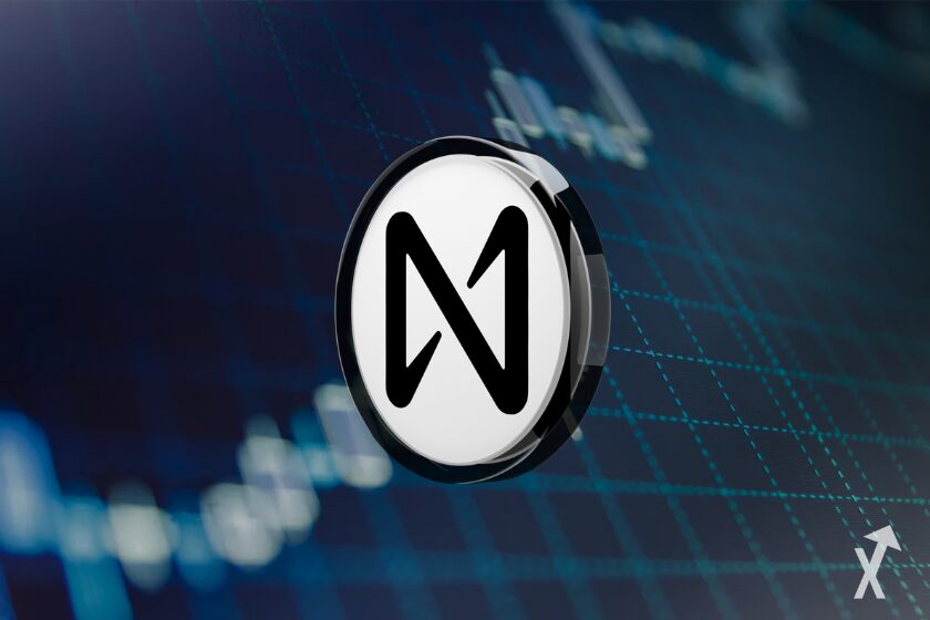 Close-up of a blooming flower.