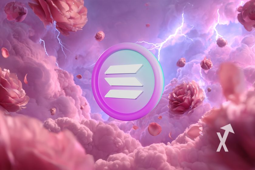 Sunlit beach umbrella on Solana Island.