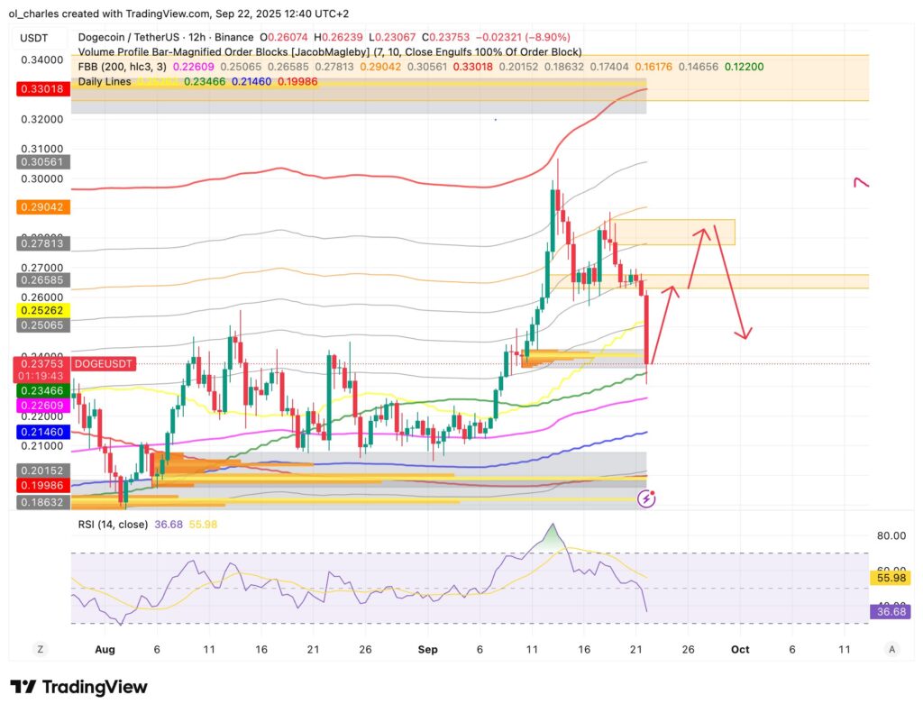 DOGE dogecoin price chart in 12H