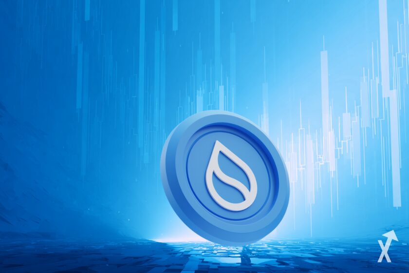 Cute orange cat sitting outdoors.