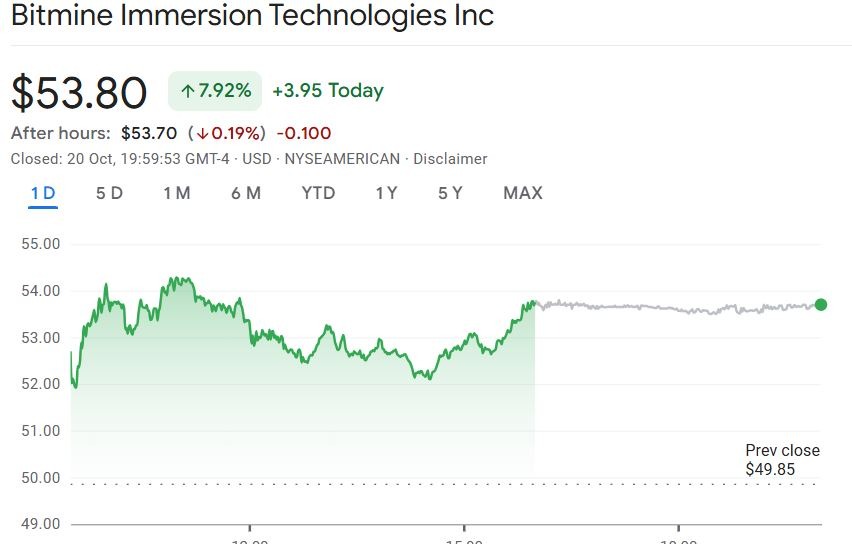BitMine's stock gained over 7% on Monday night.