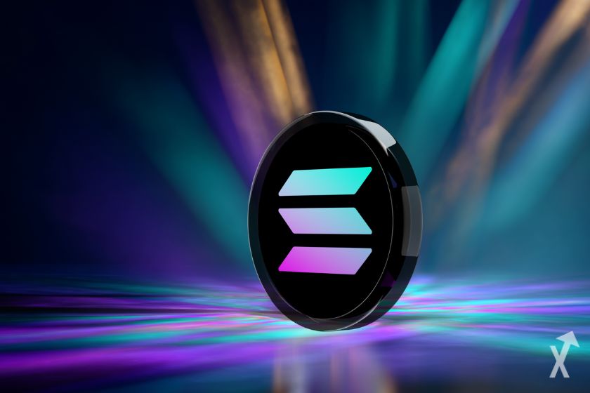 Sun shining over a meadow.