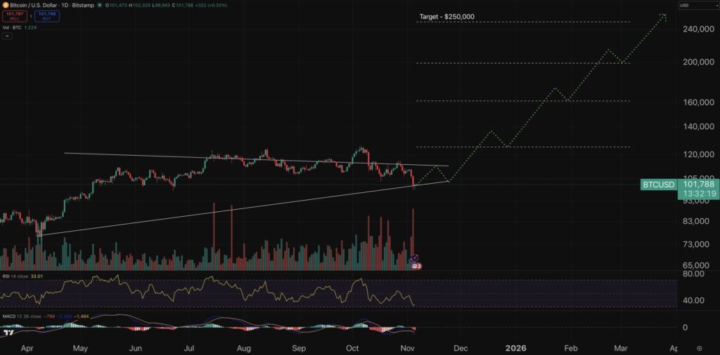 Bitcoin chart with red and green Japanese candlesticks and other technical indicators, on a black background