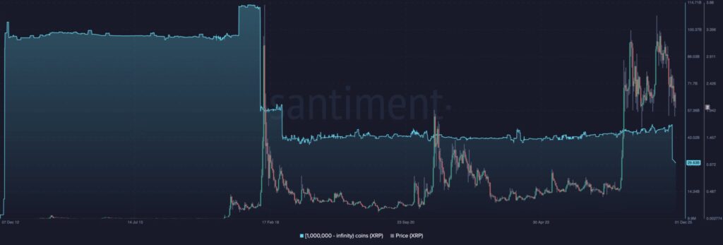 xrp whale chart with blue curve and green and red candles on black background
