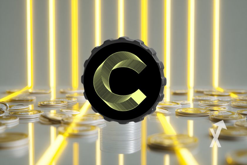 "White flower blooming in sunlight"