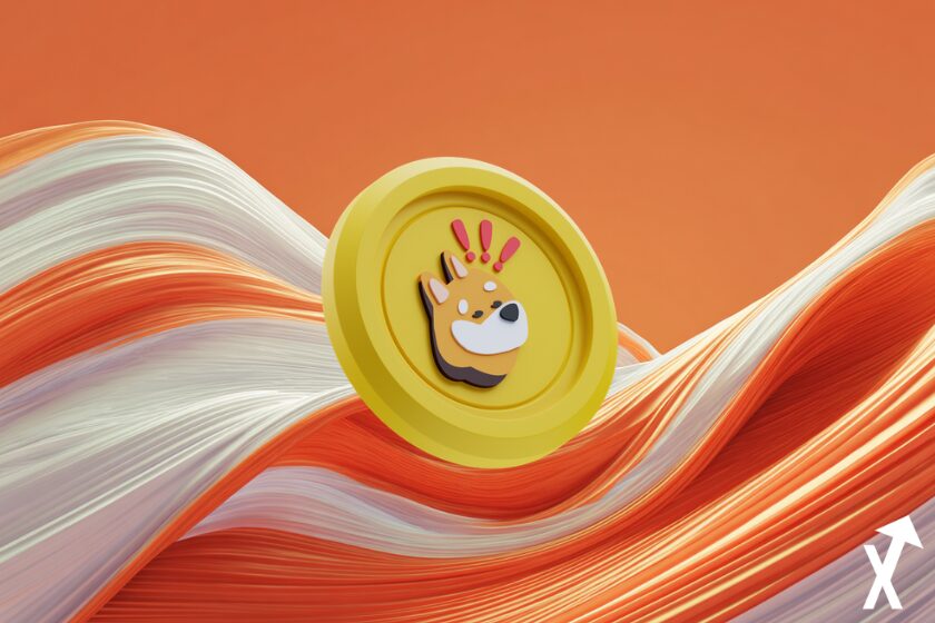 bonk coin sur fond orange blanc crypto